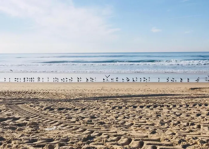 Διαμέρισμα Golf & *